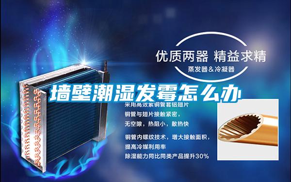 墙壁潮湿发霉怎么办