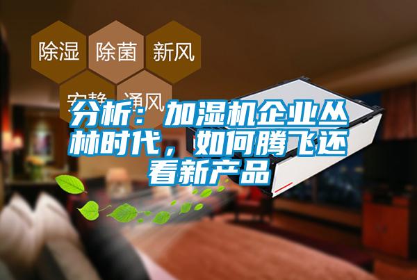 分析：加湿机企业丛林时代，如何腾飞还看新产品