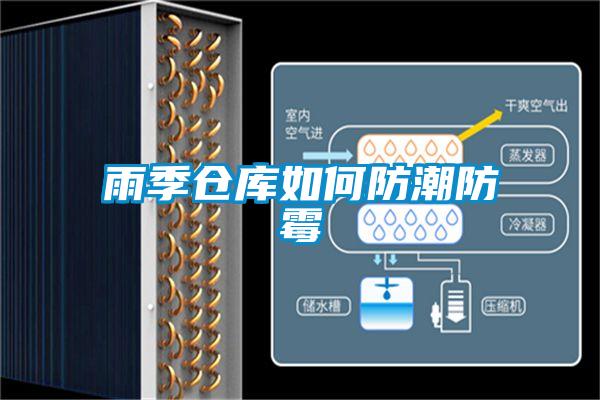 雨季仓库如何防潮防霉