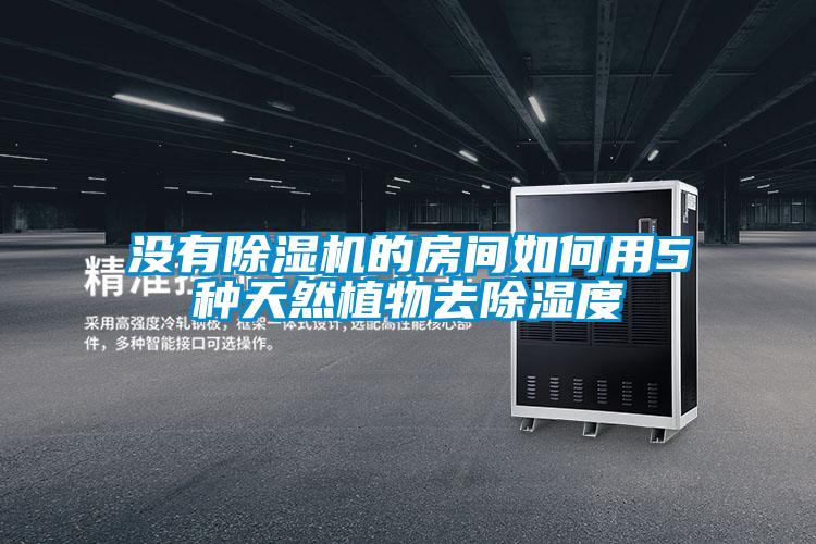 没有除湿机的房间如何用5种天然植物去除湿度