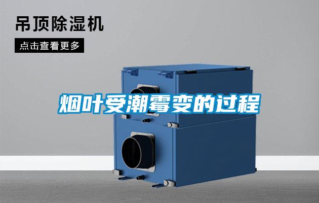 烟叶受潮霉变的过程