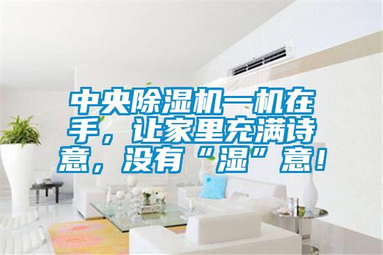 中央除湿机一机在手，让家里充满诗意，没有“湿”意！