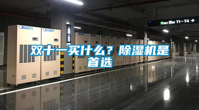 双十一买什么？除湿机是首选