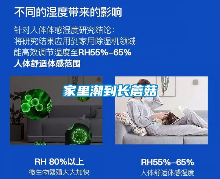 家里潮到长蘑菇