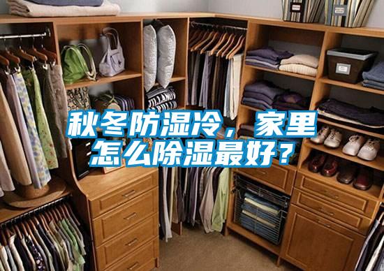 秋冬防湿冷，家里怎么除湿最好？