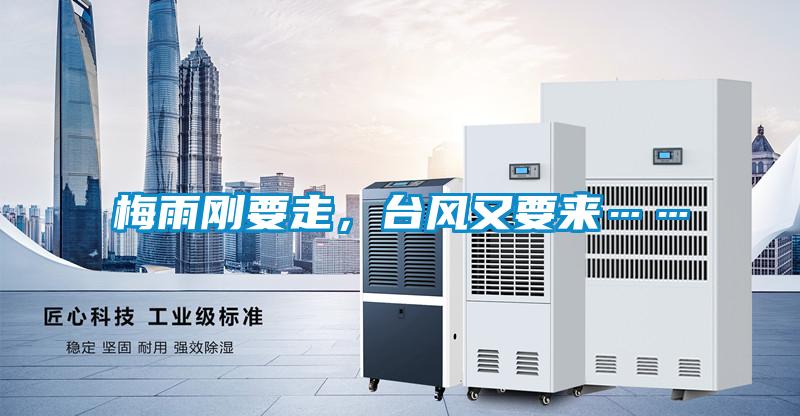 梅雨刚要走，台风又要来……