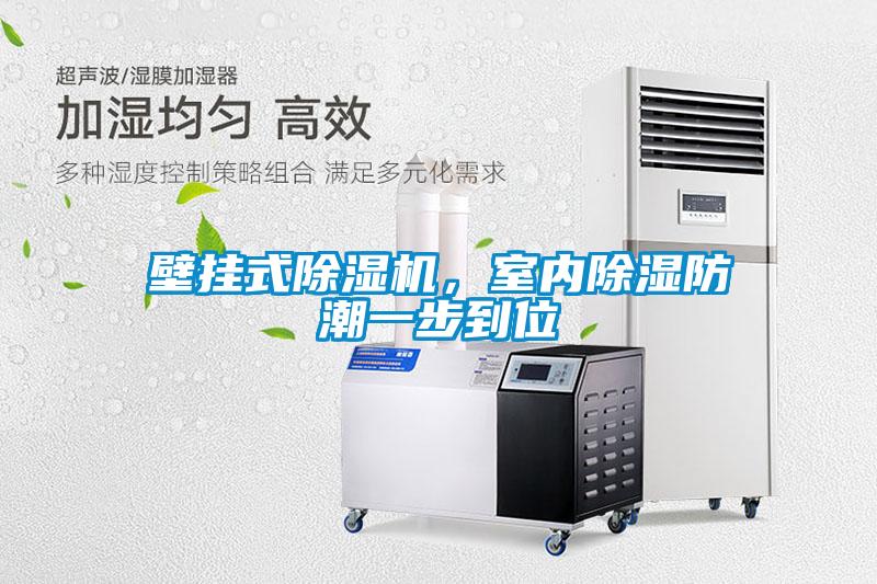 壁挂式除湿机，室内除湿防潮一步到位