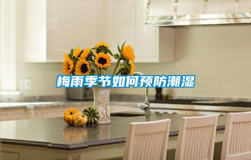 梅雨季节如何预防潮湿