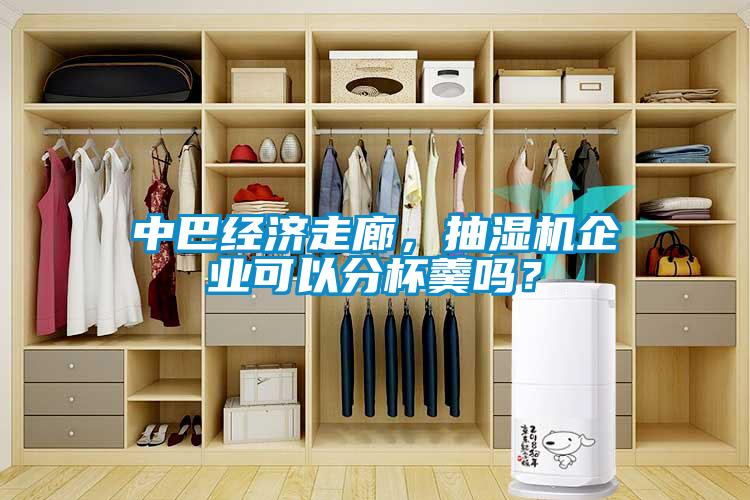 中巴经济走廊，抽湿机企业可以分杯羹吗？