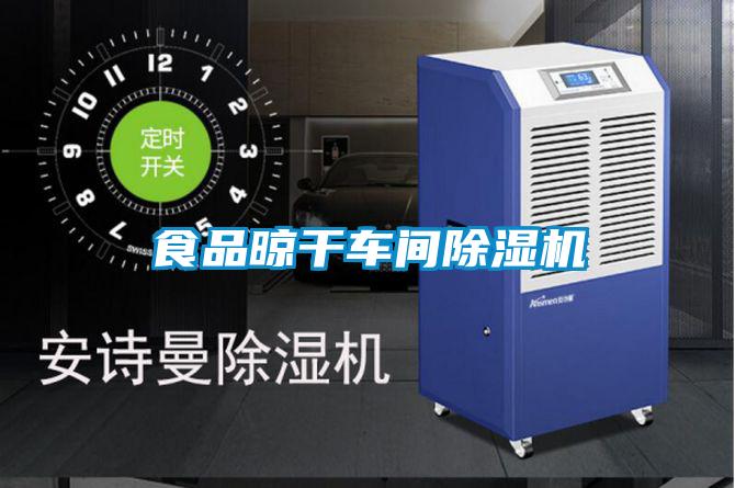 食品晾干车间除湿机