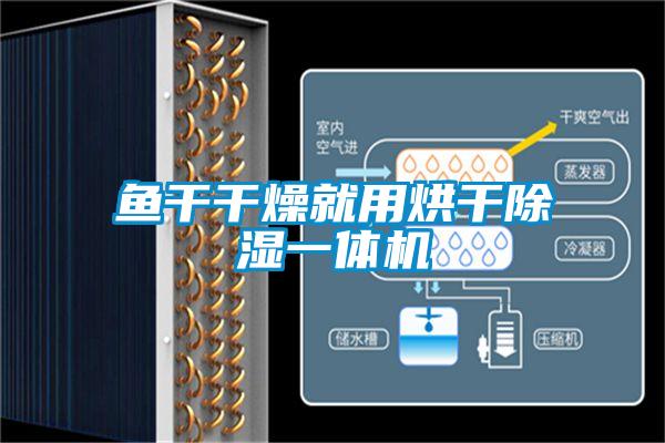 鱼干干燥就用烘干除湿一体机