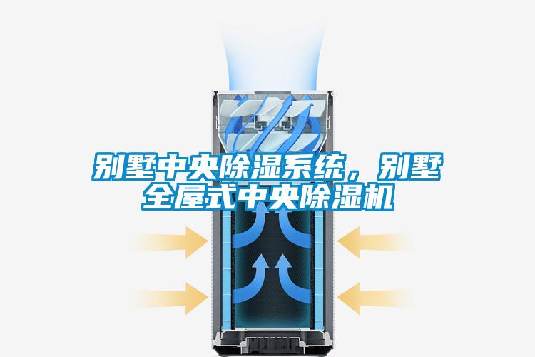 别墅中央除湿系统，别墅全屋式中央除湿机