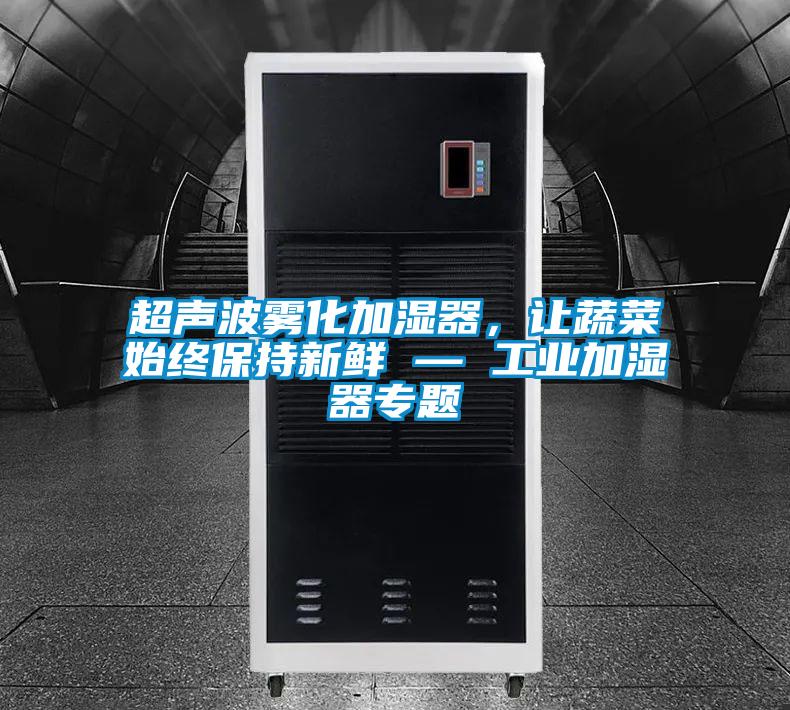 超声波雾化加湿器，让蔬菜始终保持新鲜 — 工业加湿器专题