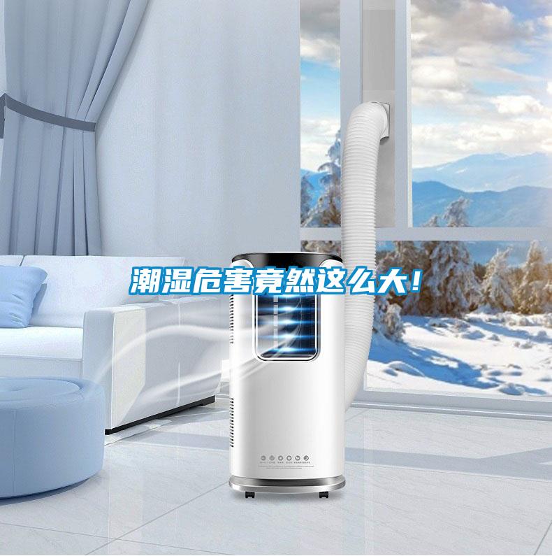 潮湿危害竟然这么大！