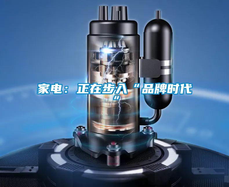 家电：正在步入“品牌时代”