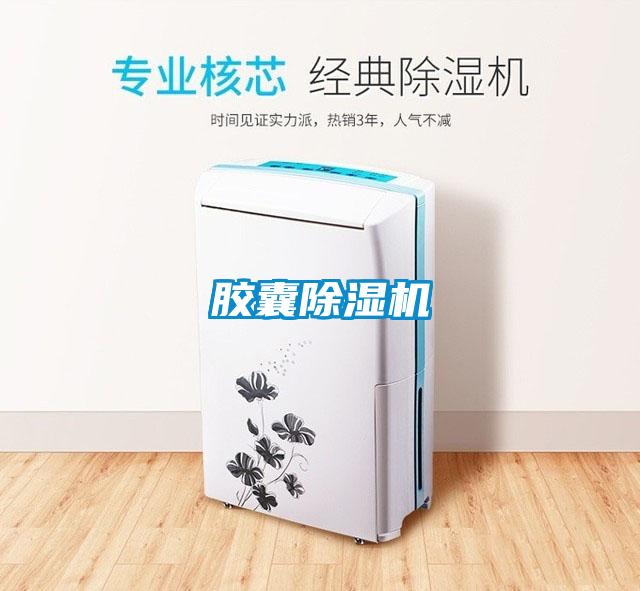 胶囊除湿机