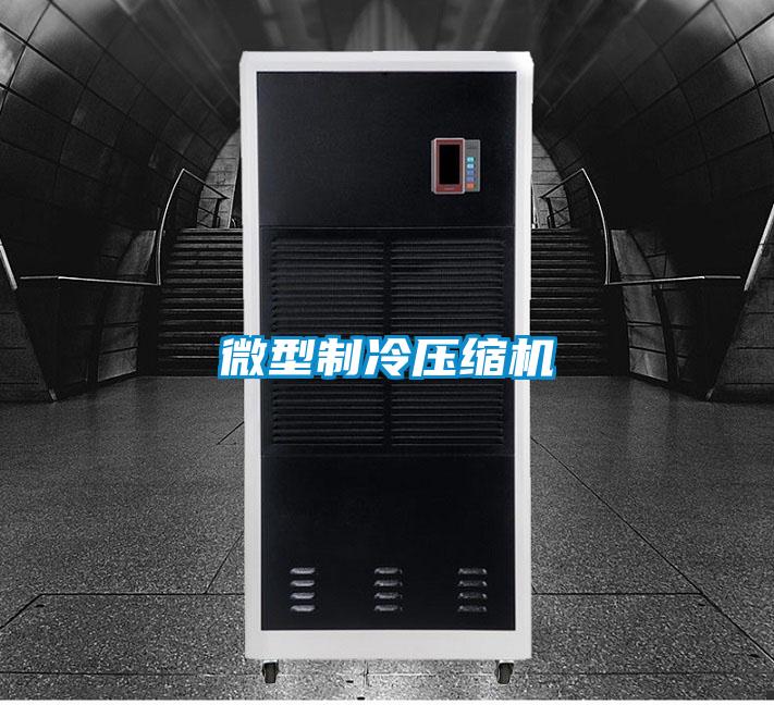 微型制冷压缩机