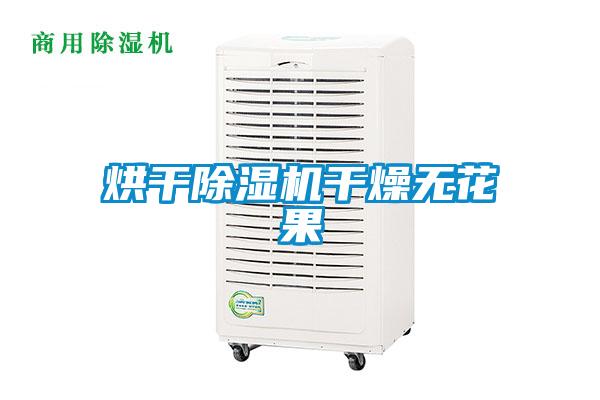 烘干除湿机干燥无花果