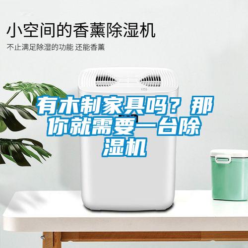 有木制家具吗？那你就需要一台除湿机