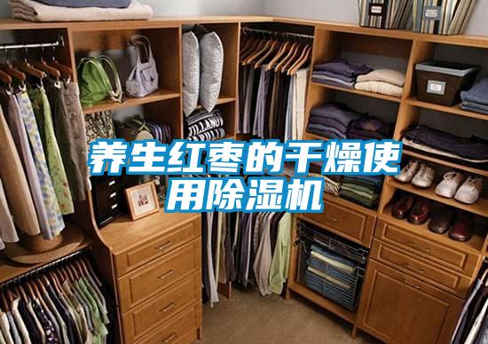 养生红枣的干燥使用除湿机