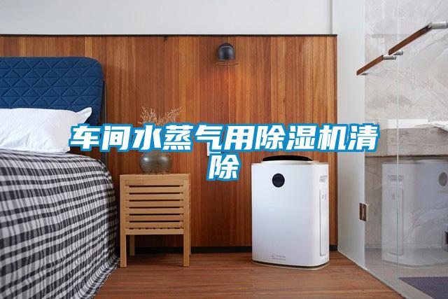 车间水蒸气用除湿机清除
