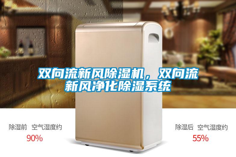 双向流新风除湿机，双向流新风净化除湿系统
