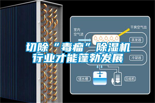切除“毒瘤”除湿机行业才能蓬勃发展
