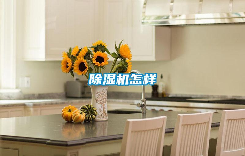 除湿机怎样