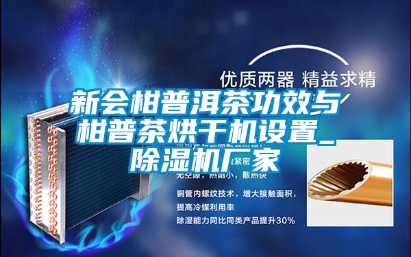 新会柑普洱茶功效与柑普茶烘干机设置_宝马电子游戏娱乐