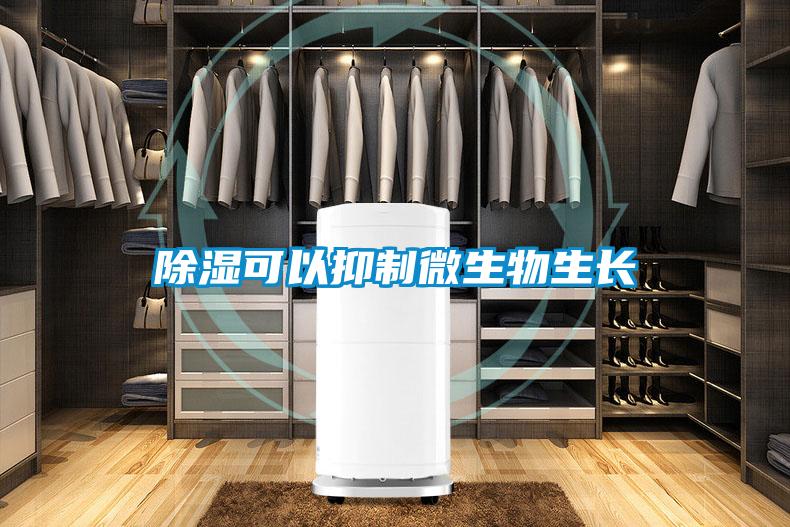 除湿可以抑制微生物生长