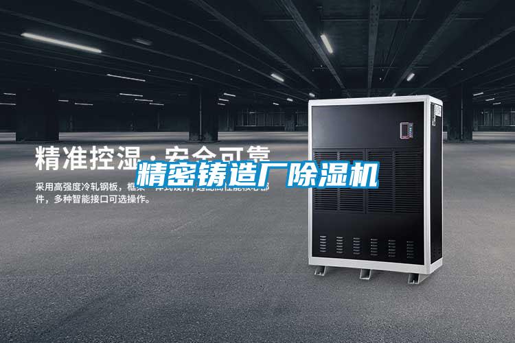 精密铸造厂除湿机