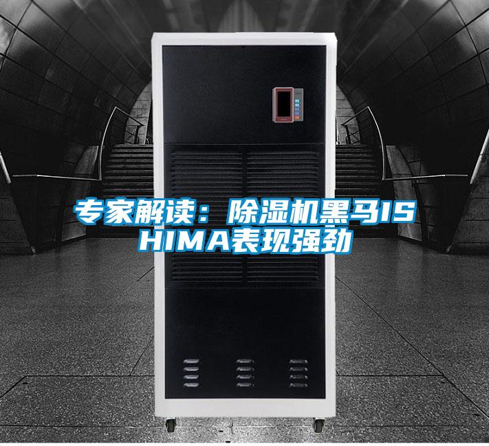 专家解读：除湿机黑马ISHIMA表现强劲