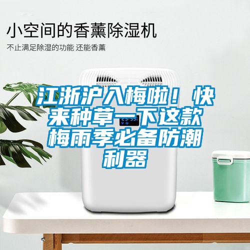 江浙沪入梅啦！快来种草一下这款梅雨季必备防潮利器