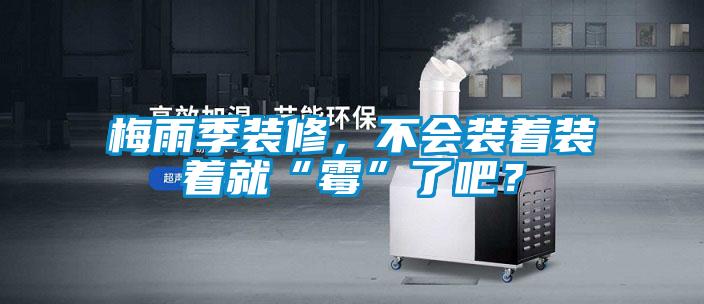 梅雨季装修，不会装着装着就“霉”了吧？