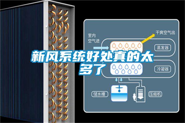 新风系统好处真的太多了