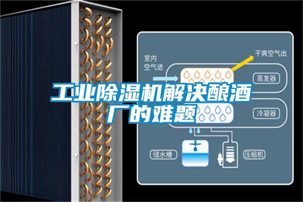 宝马电子游戏平台网址解决酿酒厂的难题