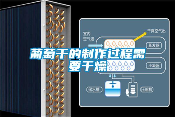 葡萄干的制作过程需要干燥