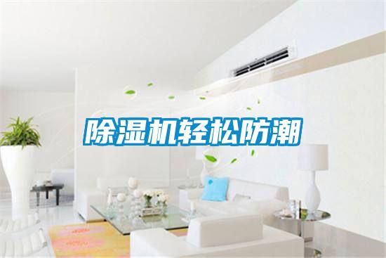 除湿机轻松防潮
