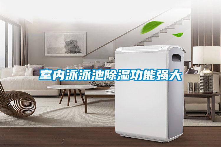 室内泳泳池除湿功能强大