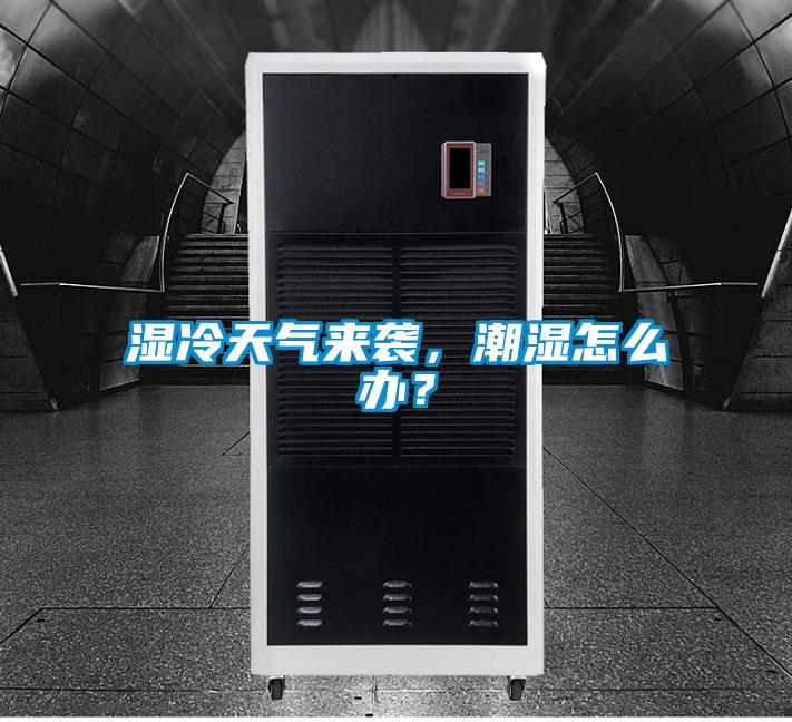 湿冷天气来袭，潮湿怎么办？