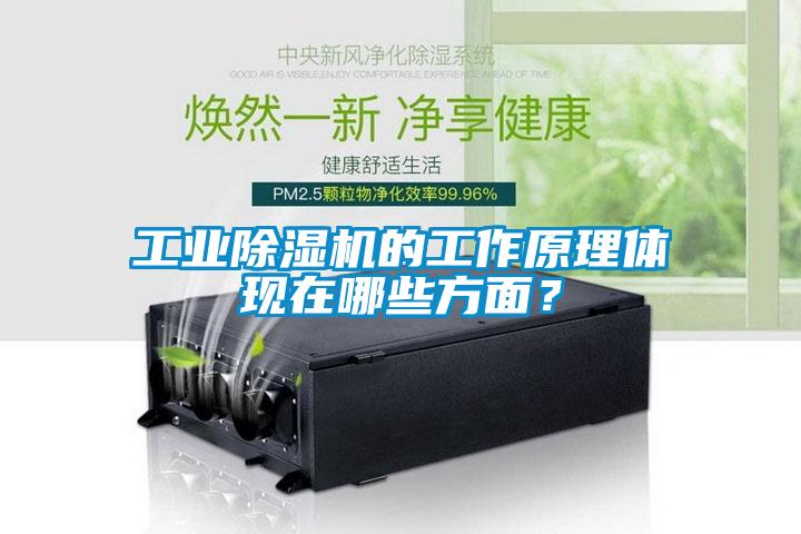 宝马电子游戏平台网址的工作原理体现在哪些方面？