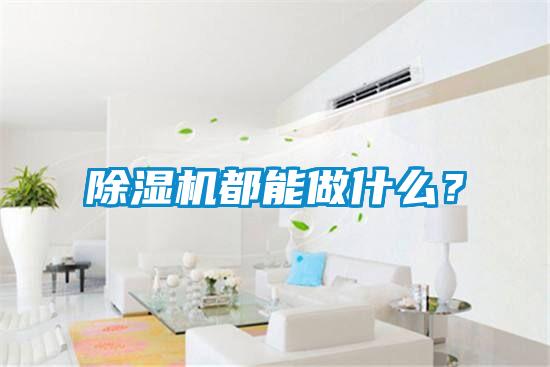除湿机都能做什么？