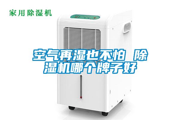 空气再湿也不怕 除湿机哪个牌子好