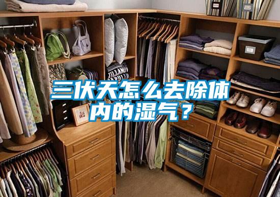 三伏天怎么去除体内的湿气？
