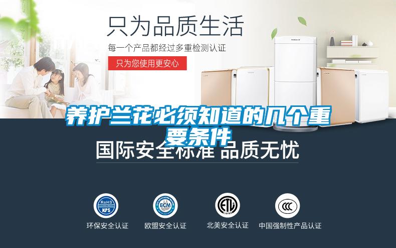 养护兰花必须知道的几个重要条件