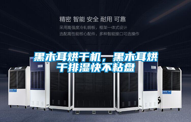 黑木耳烘干机，黑木耳烘干排湿快不粘盘