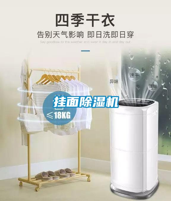 挂面除湿机