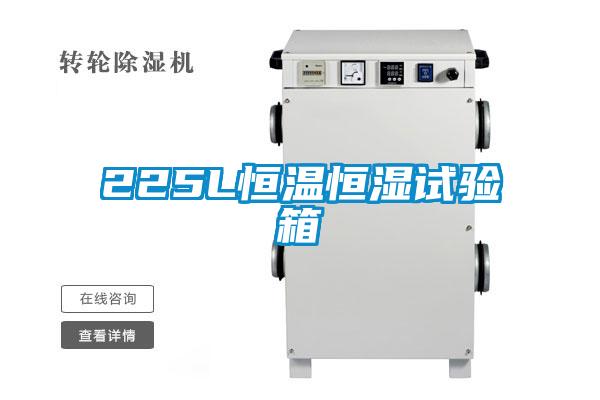 225L恒温恒湿试验箱