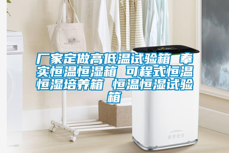 厂家定做高低温试验箱 奉实恒温恒湿箱 可程式恒温恒湿培养箱 恒温恒湿试验箱