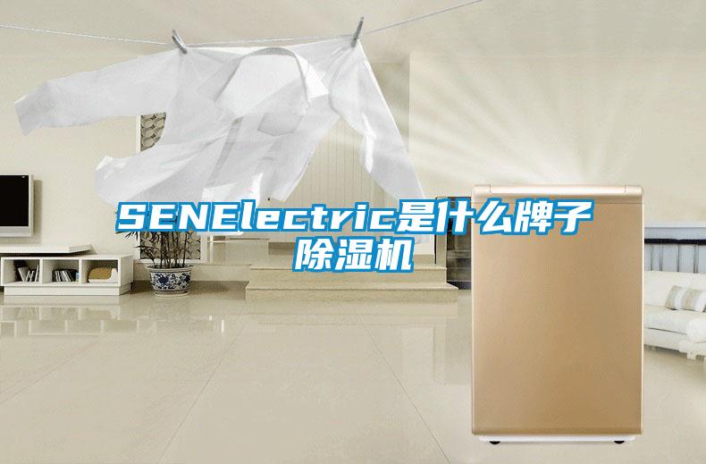 SENElectric是什么牌子除湿机